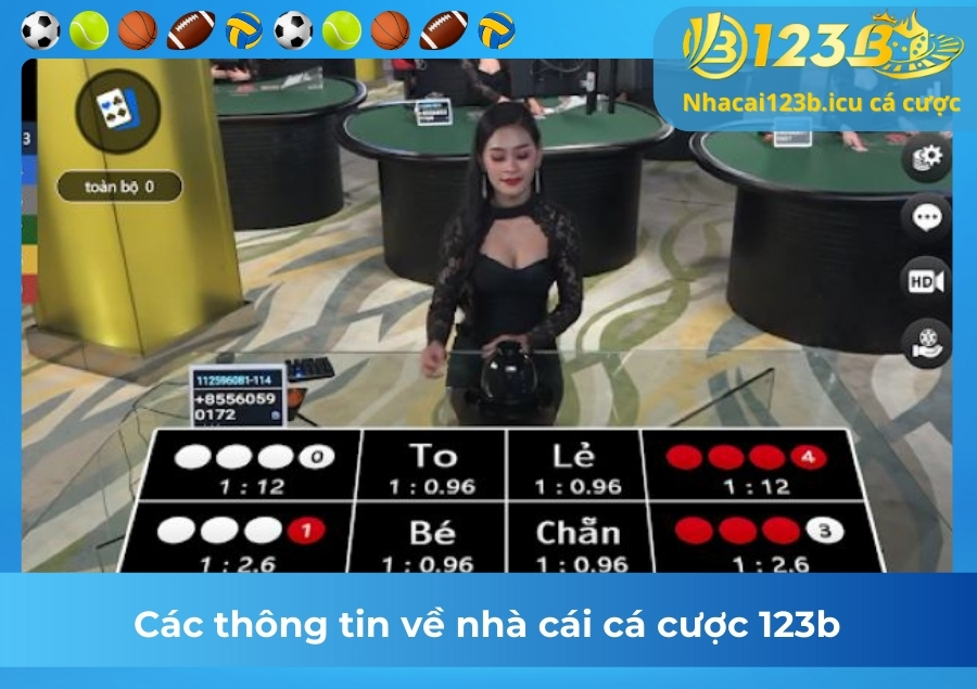 Các thông tin về nhà cái cá cược 123b